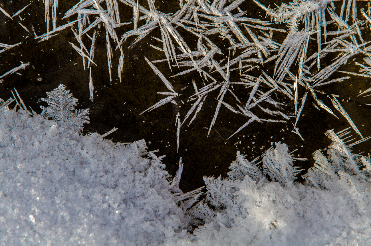 The Frosty Witchcraft