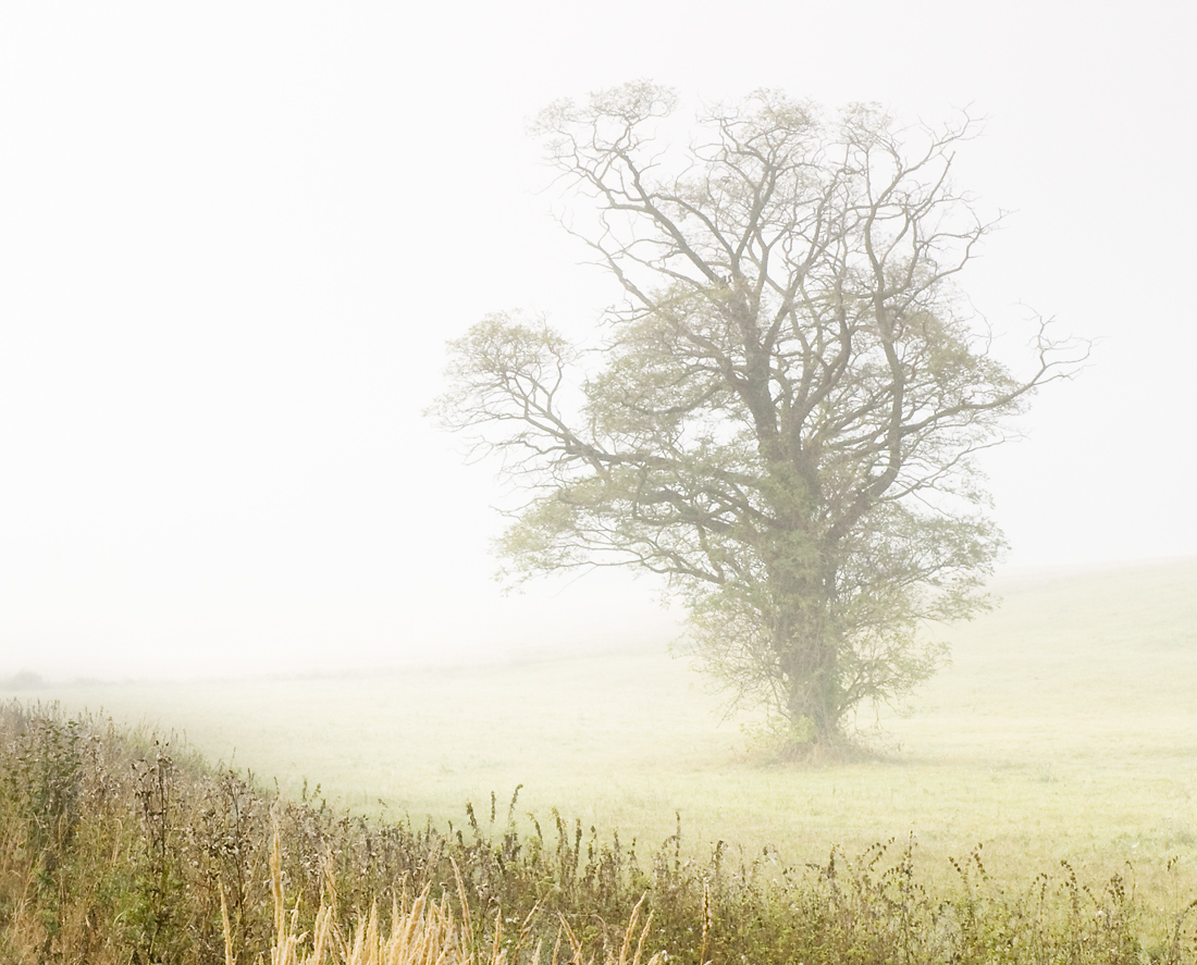 Zastav sa a snívaj ...